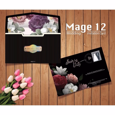 Mage 12