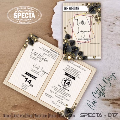 Specta 17