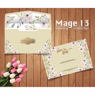 Mage 13