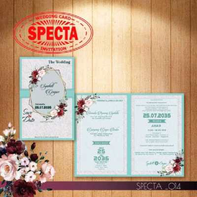 Specta 14
