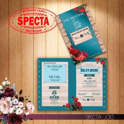 Specta 13